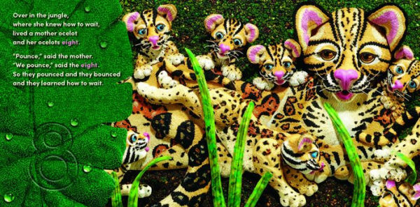 Over the Jungle: A rain forest baby animal counting book