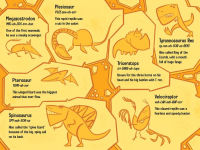 Alternative view 5 of Tea Time for Dinosaurs
