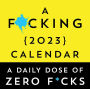 F*cking 2023 Boxed Calendar