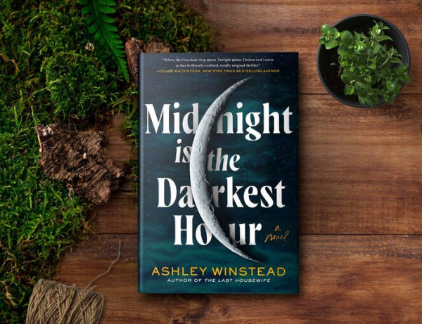Midnight Is the Darkest Hour: A Novel