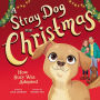 A Stray Dog for Christmas: How Suzy Was Adopted