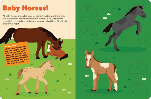 Pop Out Horses: Read, Build, and Play with These Fantastic Horses and Ponies