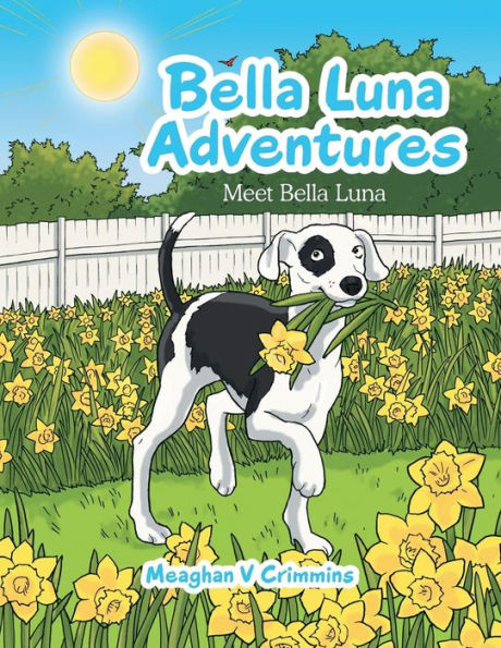 Bella Luna Adventures: Meet