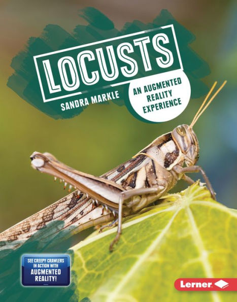 Locusts: An Augmented Reality Experience