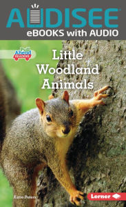 Title: Little Woodland Animals, Author: Katie Peters