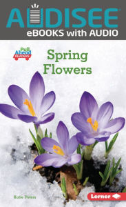 Title: Spring Flowers, Author: Katie Peters