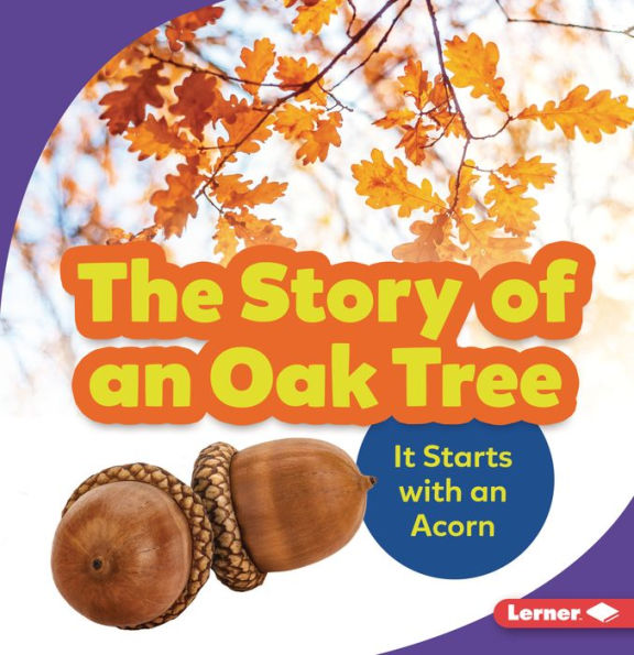 The Story of an Oak Tree: It Starts with Acorn