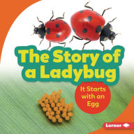 Title: The Story of a Ladybug: It Starts with an Egg, Author: Lisa Owings
