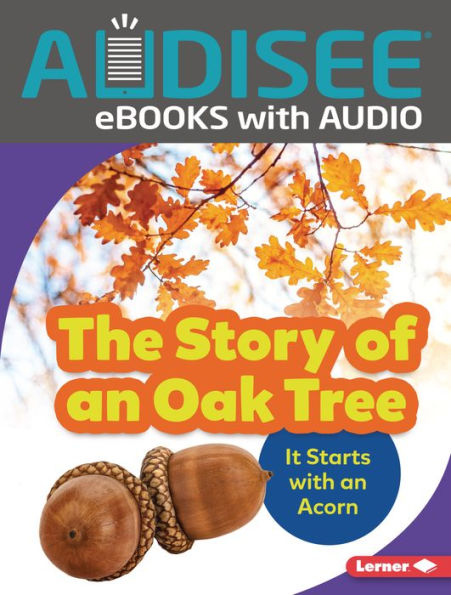 The Story of an Oak Tree: It Starts with an Acorn