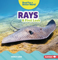 Title: Rays: A First Look, Author: Percy Leed