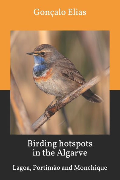 Birding hotspots in the Algarve: Lagoa, PortimÃ¯Â¿Â½o and Monchique