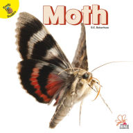 Title: Moth, Author: R.E. Robertson