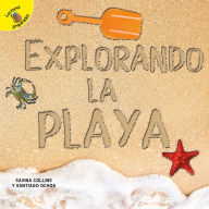Title: Explorando la playa: Exploring the Beach, Author: Ochoa