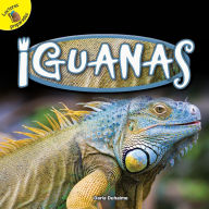 Title: Iguanas: Iguanas, Author: Duhaime