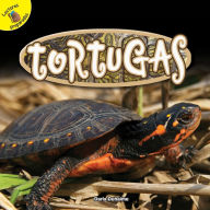 Title: Tortugas: Turtles, Author: Duhaime