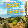 Seasons Of The Desert Biome