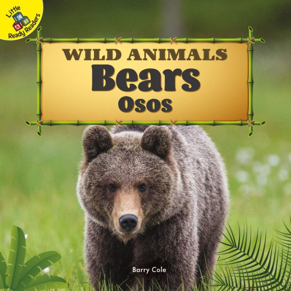 Bears: Osos