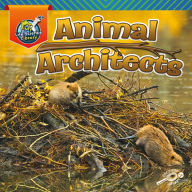 Title: Animal Architects, Author: Amstutz