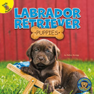 Title: Labrador Retriever Puppies, Author: Hailey Scragg