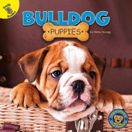 Title: Bulldog Puppies, Author: Hailey Scragg