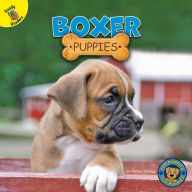Title: Boxer Puppies, Author: Hailey Scragg