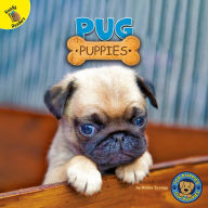 Title: Pug Puppies, Author: Hailey Scragg