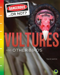 Title: Vultures and Other Birds, Author: Santos