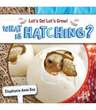 Title: What Is Hatching?, Author: Box