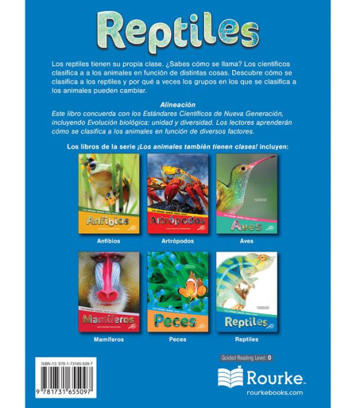 Reptiles: Reptiles