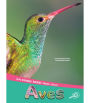 Aves: Birds
