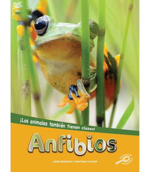 Anfibios: Amphibians