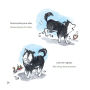 Alternative view 6 of Gracie (Spanish/English): A Bilingual Adventure In The Blue Ridge Mountains