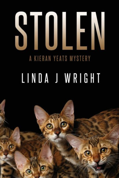 Stolen: A Kieran Yeats Mystery