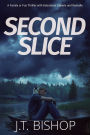 Second Slice: A Novel of Suspense (Book 2)