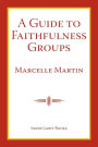 A Guide To Faithfulness Groups