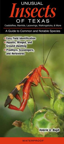 Unusual Insects of Texas Caddisflies, Mantids, Lacewings & More: A Guide to Common and Notable Species