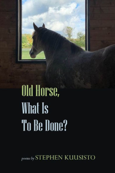 Old Horse, What Is to Be Done?