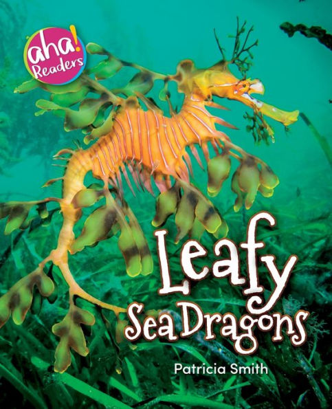 Leafy Sea Dragons