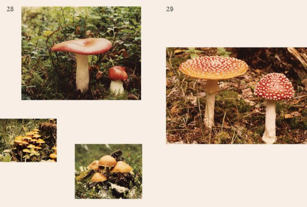 John Cage: A Mycological Foray: Variations on Mushrooms