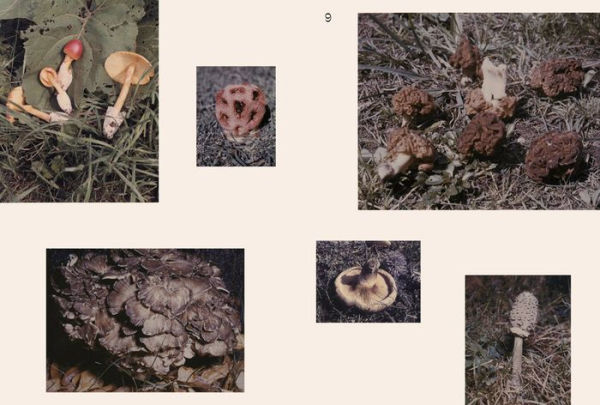 John Cage: A Mycological Foray: Variations on Mushrooms