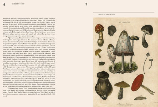 John Cage: A Mycological Foray: Variations on Mushrooms