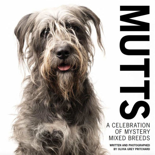 MUTTS: A Celebration of Mystery Mixed Breeds