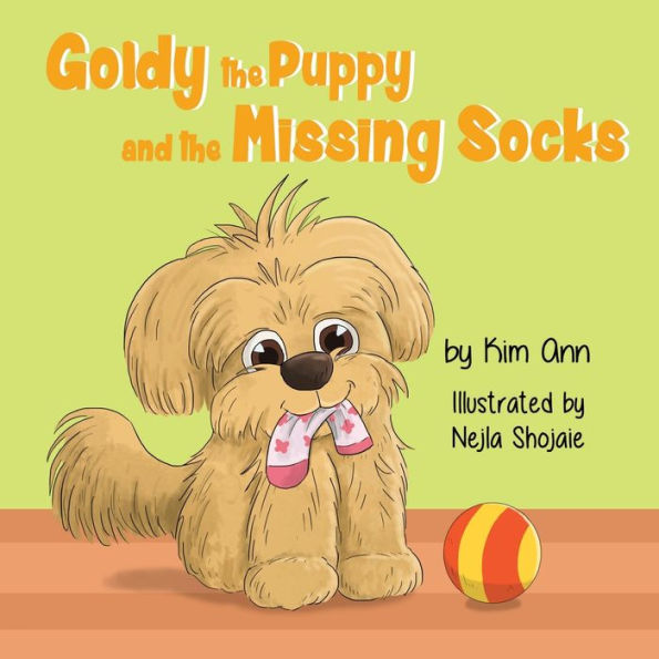 Goldy the Puppy and Missing Socks