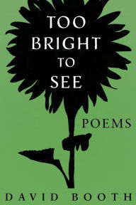 Title: Too Bright to See, Author: David Booth