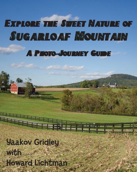 Explore the Sweet Nature of Sugarloaf Mountain: A Photo-Journey Guide