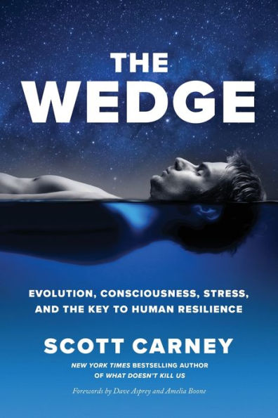 the Wedge: Evolution, Consciousness, Stress, and Key to Human Resilience