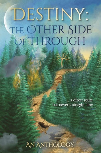 Destiny: The Other Side of Through