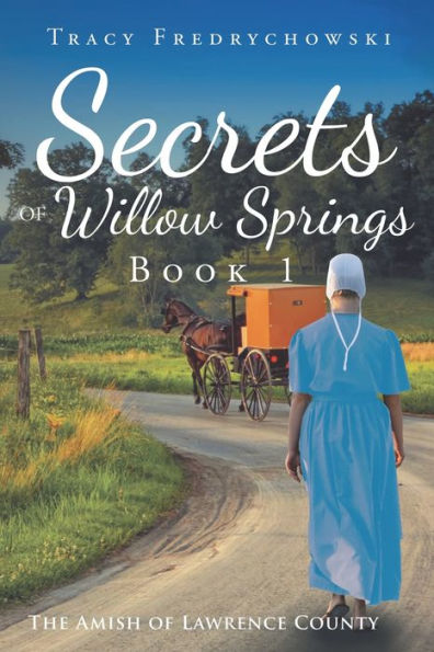 Secrets of Willow Springs - Book 1: The Amish of Lawrence County