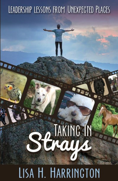 Taking Strays: Leadership Lessons From Unexpected Places