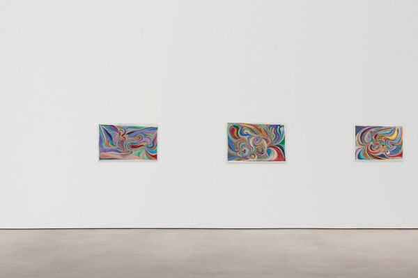 Chris Johanson: Considering Unknow Know With What Is, And